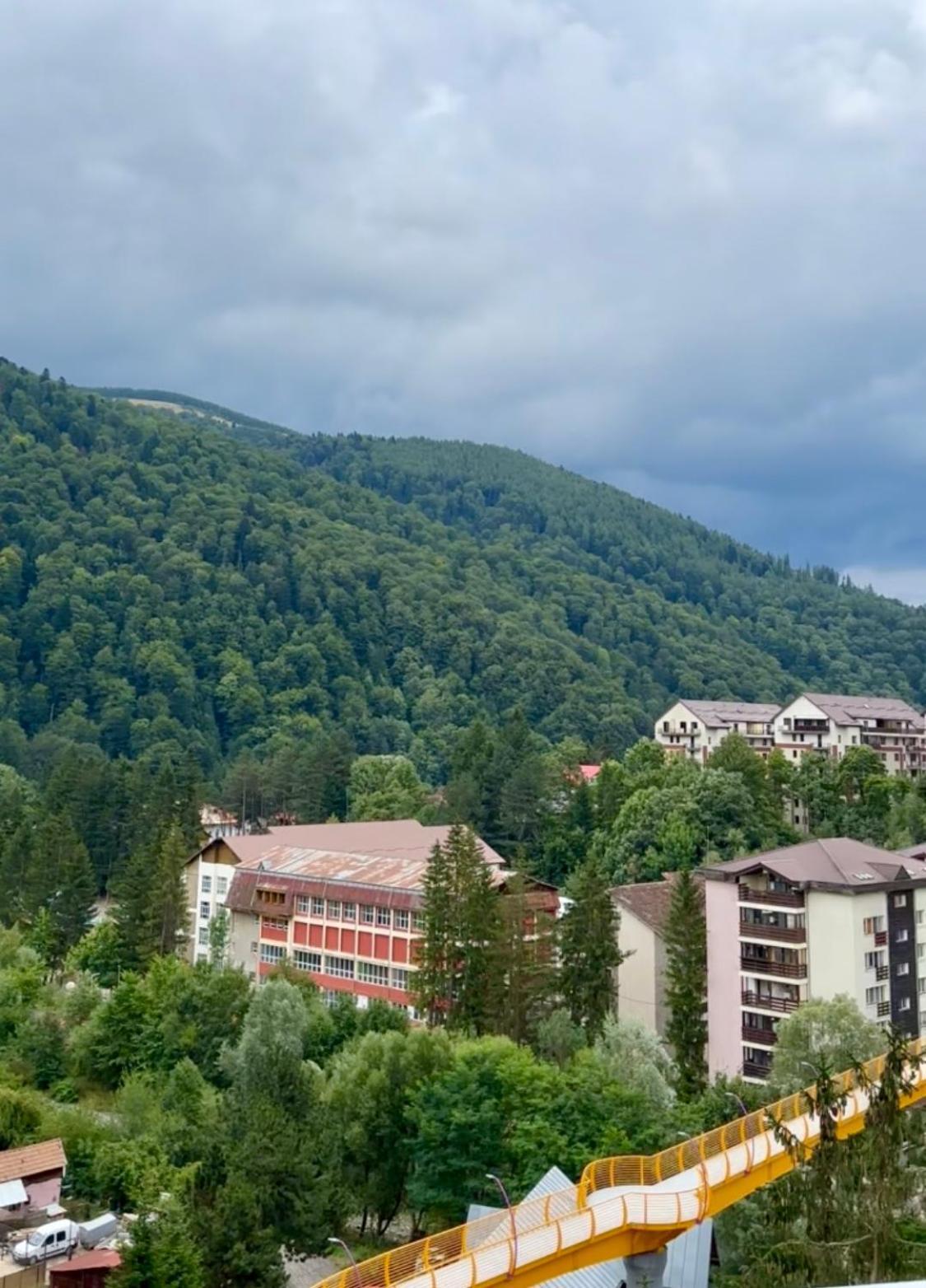 Alpine Line Studio Sinaia Exterior foto